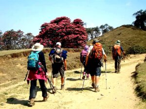 Pikey Trek: A Himalayan Adventure